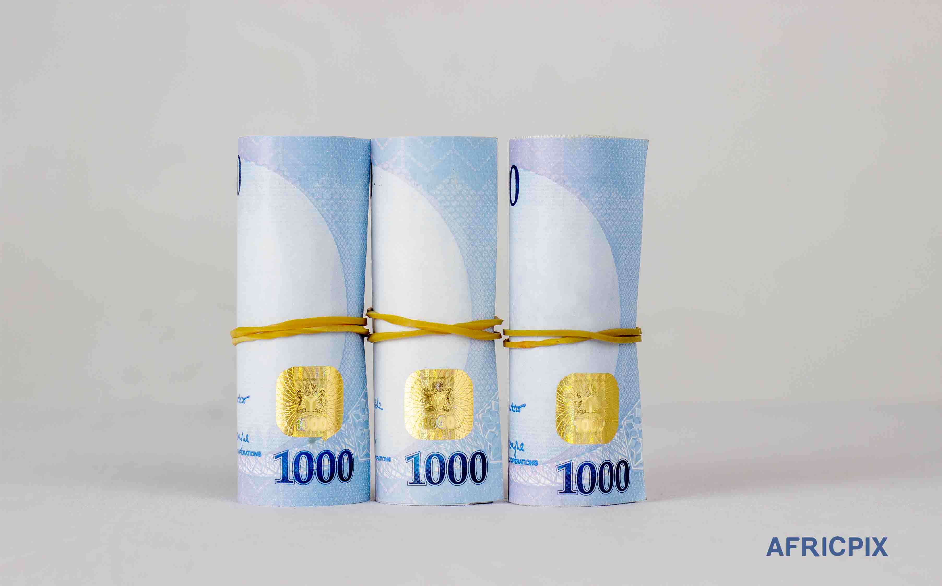 1000 Naira Note Money